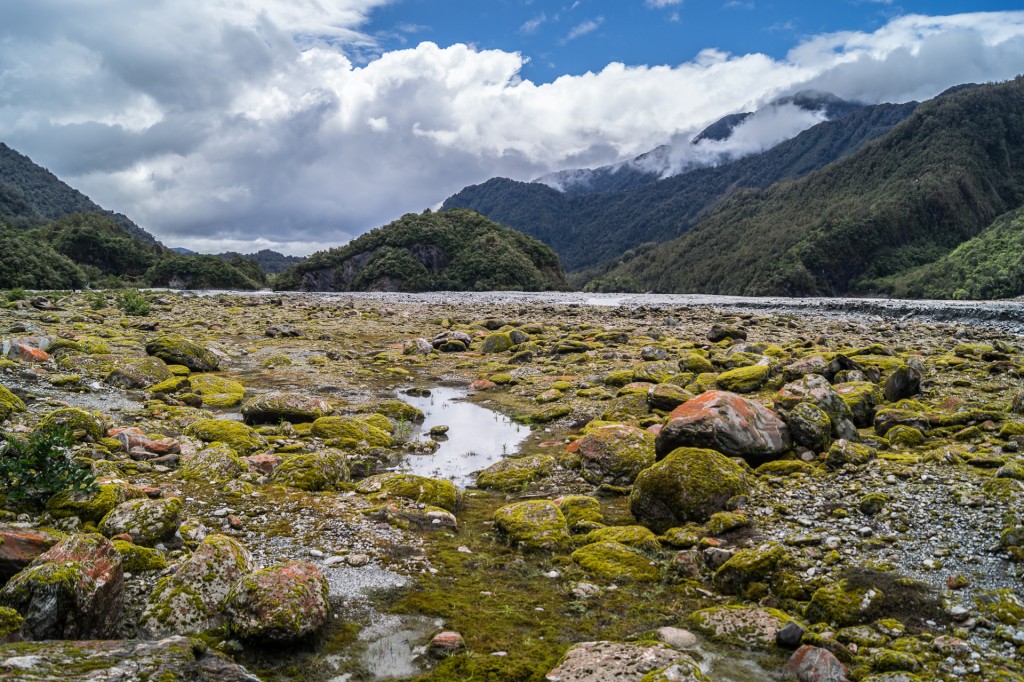 Westland Tai Poutini National Park